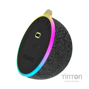 Акустична система Canyon OnMove 13 Black (CNE-CBTSP13B)