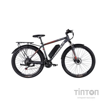 Електровелосипед Formula 29" eMOTION PLUS DD FR рама-19" 36B 12.5А*г 500Вт 2026 сіро-сріблястий (ELB-FR-29-258)