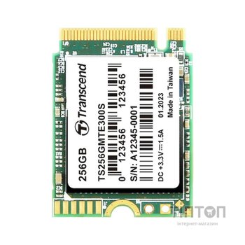 Накопичувач SSD M.2 2230 256GB Transcend (TS256GMTE300S)