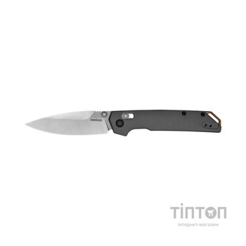 Ніж Kershaw Iridium (2038)